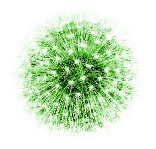 Com’ero e come sono diventata